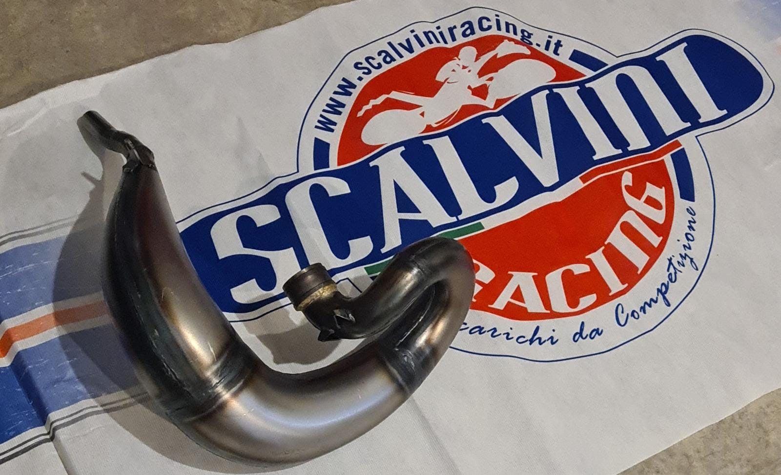 סעפת SCALVINI אוסטרים 20-22